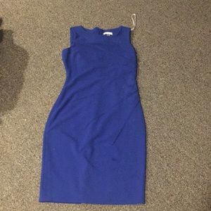 Calvin Klein Blue dress